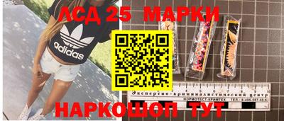 гидра Аргун