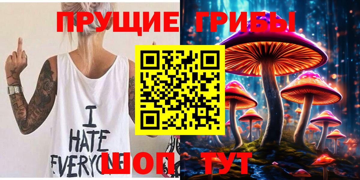 Архангельск  Галлюциногенные грибы Psilocybine cubensis  Вход с VPN 